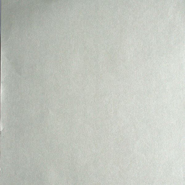 lara-silver-floral-trail-texture-wallpaper-york-wallcoverings-57-51972 - York Wallcoverings Wallpaper