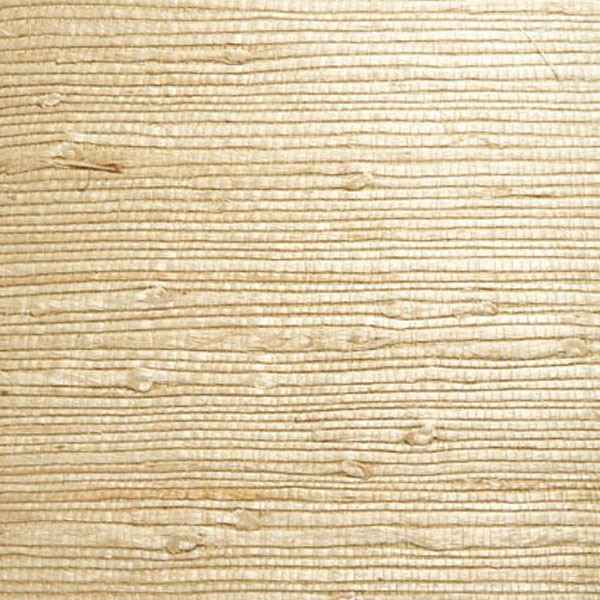 Bing Qing Beige Grasscloth Wallpaper - York Wallcoverings - 63-54726