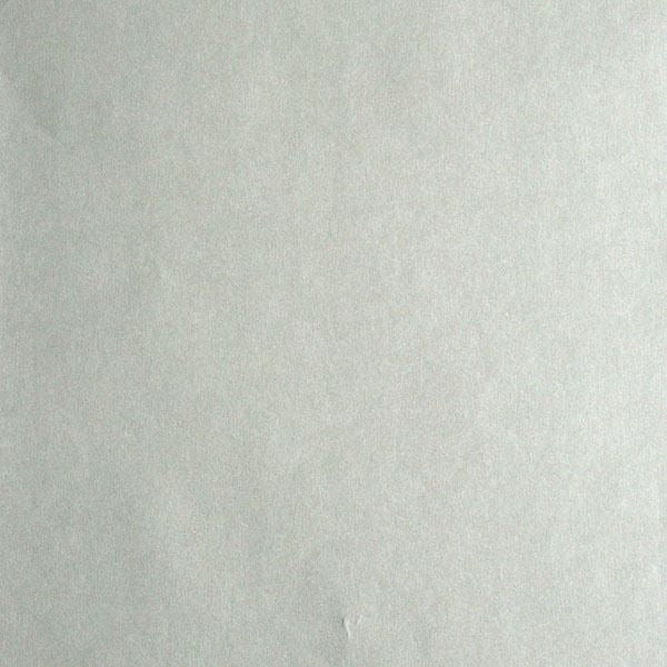 galen-silver-pewter-texture-wallpaper-york-wallcoverings-670-51972