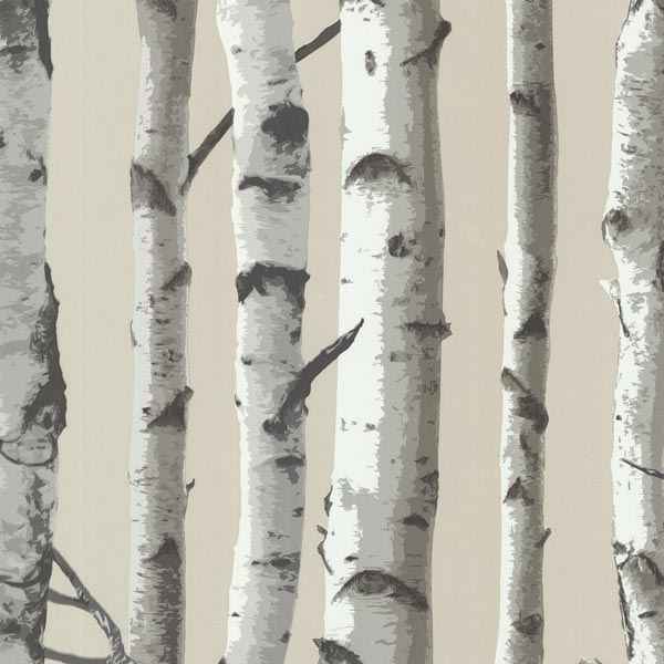 Birch Tree - York Wallcoverings - 2532-20418