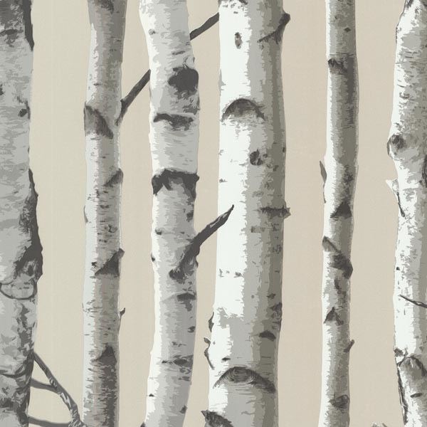 irvin-grey-birch-tree-york-wallcoverings-2532-20418 - York Wallcoverings Wallpaper