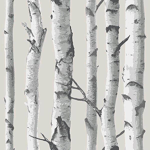birch-tree-peel-and-stick-wallpaper-york-wallcoverings-nu3128 - York Wallcoverings Wallpaper