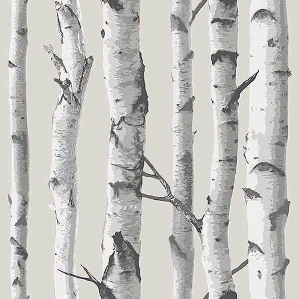 Birch Tree Peel and Stick Wallpaper - York Wallcoverings - NU3128 - York Wallcoverings Wallpaper