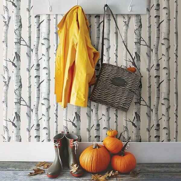 Birch Tree Peel and Stick Wallpaper - York Wallcoverings - NU3128 - York Wallcoverings Wallpaper