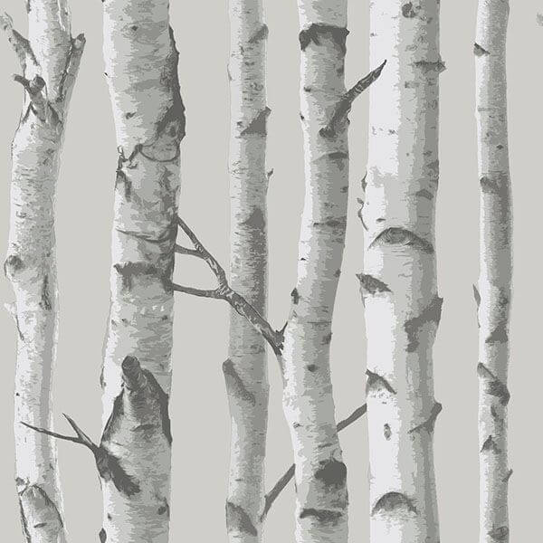 mountain-birch-grey-peel-and-stick-wallpaper-york-wallcoverings-nu1694 - York Wallcoverings Wallpaper