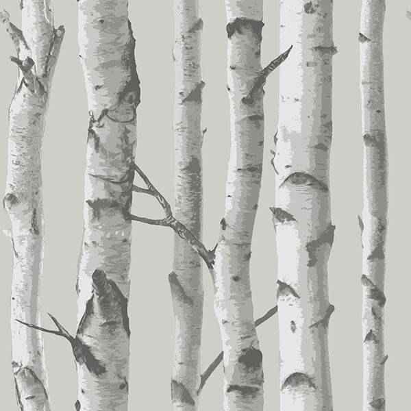 Mountain Birch Grey Peel and Stick Wallpaper - York Wallcoverings - NU1694 - York Wallcoverings Wallpaper