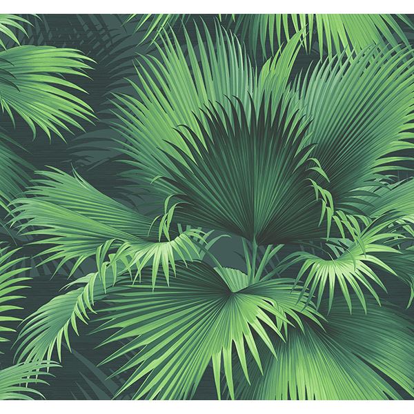 endless-dark-green-palm-wallpaper-york-wallcoverings-ps40104