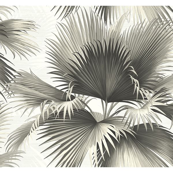 endless-black-palm-wallpaper-york-wallcoverings-ps40100 - York Wallpaper Wallpaper