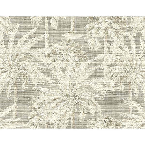 dream-grey-texture-wallpaper-york-wallcoverings-ps40006 - York Wallpaper Wallpaper