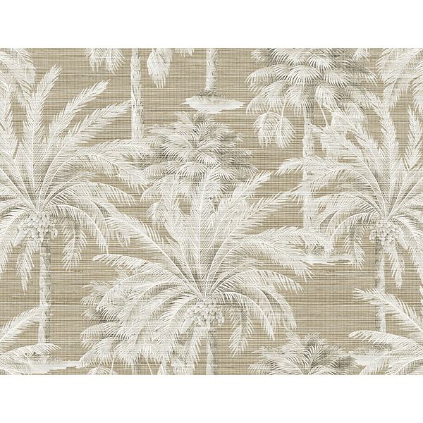 dream-brown-texture-wallpaper-york-wallcoverings-ps40007 - York Wallcoverings Papel pintado