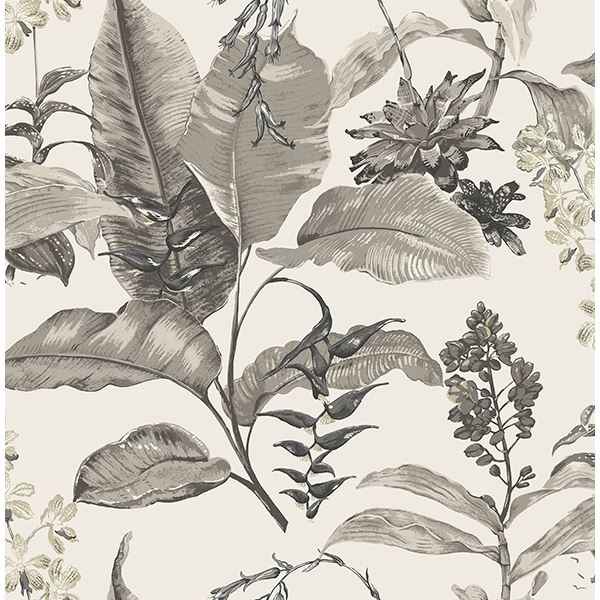 Maui White Botanical Wallpaper - York Wallcoverings - PS41800