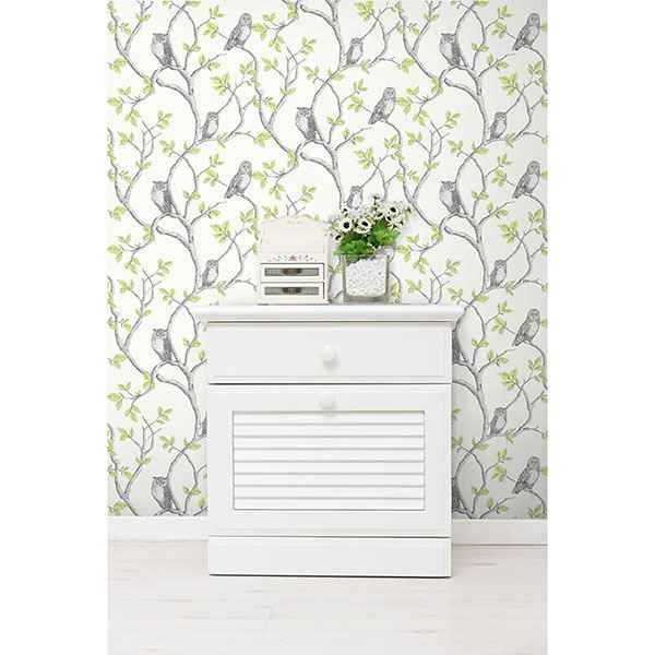 Linden Green Owl Wallpaper - York Wallcoverings - 2900-40637 - York Wallcoverings Wallpaper