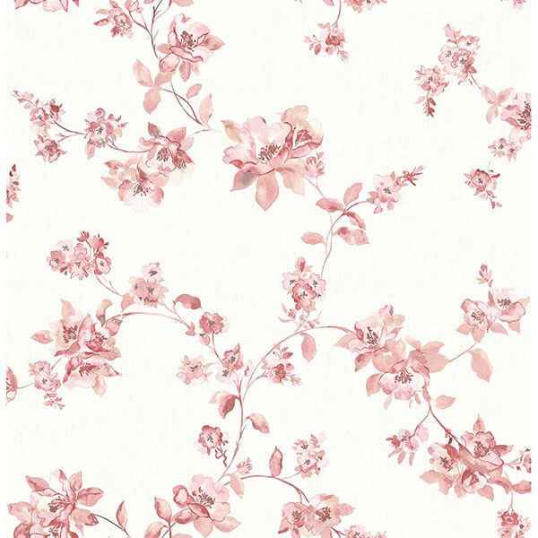 Cyrus Rose Festive Floral Wallpaper - York Wallcoverings - 3115-24483 - York Wallcoverings Wallpaper