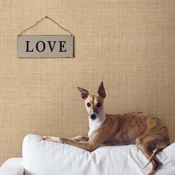 tiki-beige-faux-grasscloth-wallpaper-york-wallcoverings-2807-6011 - York Wallcoverings Wallpaper