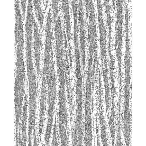 Toyon Black Birch Tree Wallpaper - York Wallcoverings - 2811-24580