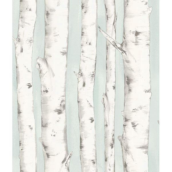 pioneer-light-blue-birch-tree-wallpaper-york-wallcoverings-3118-12602 - York Wallcoverings Wallpaper
