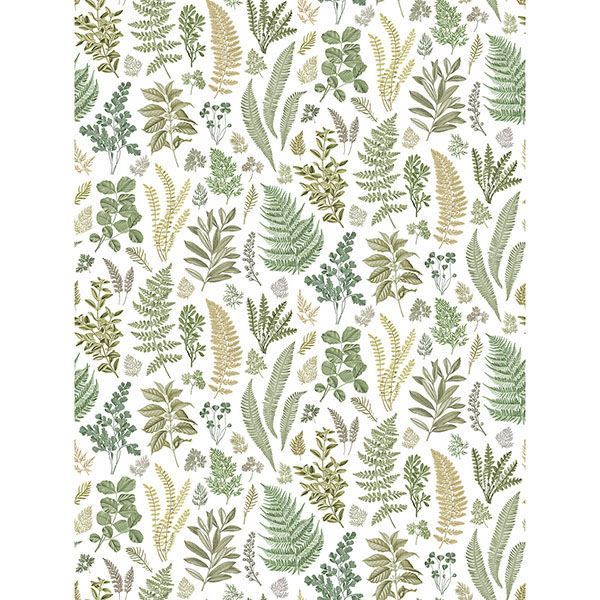 britta-green-herbs-wall-mural-york-wallcoverings-2821-sm25155
