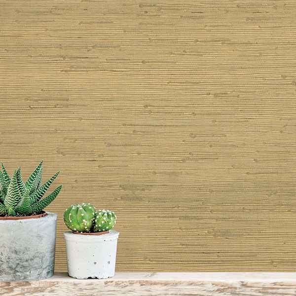 Shan Light Green Green Grasscloth Wallpaper - York Wallcoverings - 63-54764 - York Wallcoverings Wallpaper
