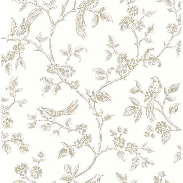 Ray Taupe Bird Trail Wallpaper - York Wallcoverings - 2813-24974