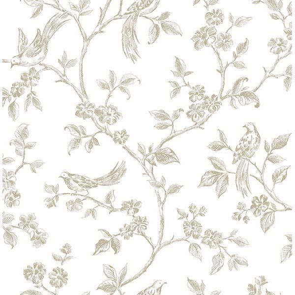 ray-taupe-bird-trail-wallpaper-york-wallcoverings-2813-24974