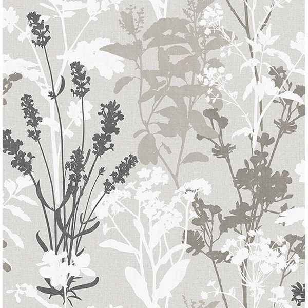 Desdemona Multicolor Floral Silhouettes Wallpaper - York Wallcoverings - 2836-24571 - York Wallcoverings Wallpaper