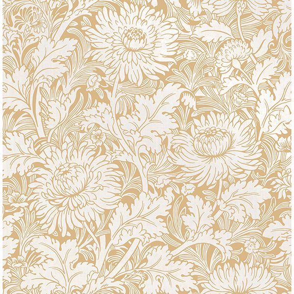 zinnia-mustard-floral-wallpaper-york-wallcoverings-2900-42528 - York Wallpaper Wallpaper