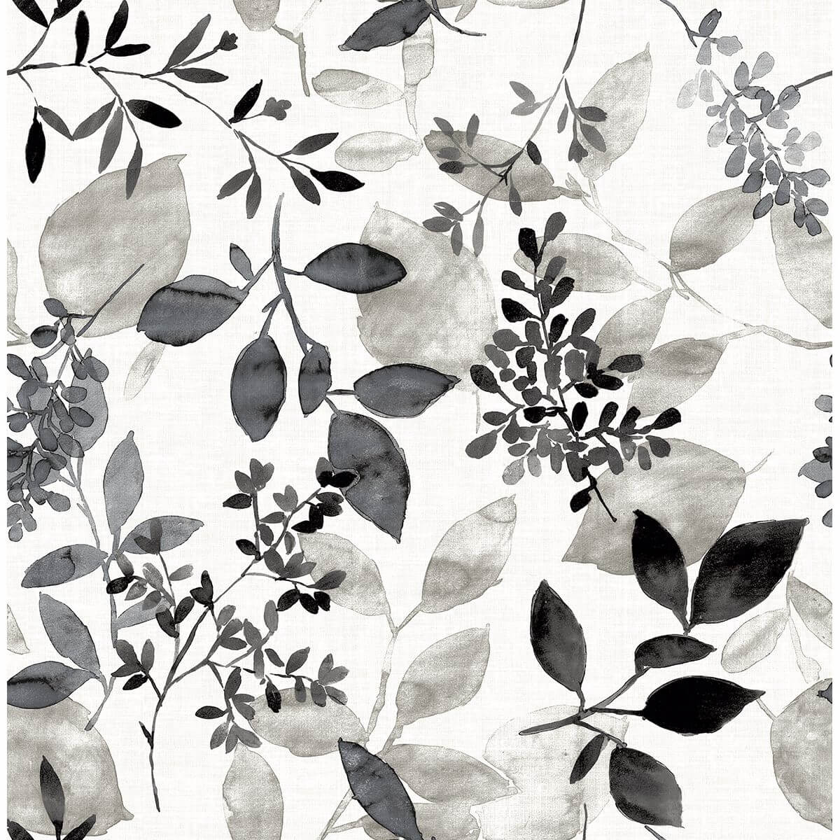 gossamer-black-botanical-wallpaper-york-wallcoverings-2716-23866