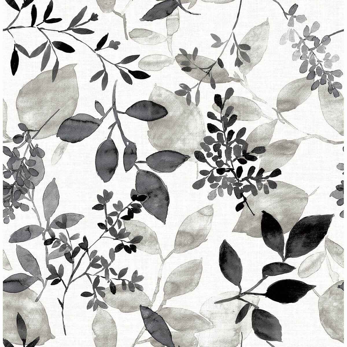 Gossamer Black Botanical Wallpaper - York Wallcoverings - 2716-23866 - York Wallcoverings Wallpaper