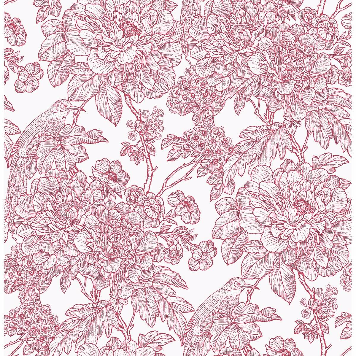birds-of-paradise-breeze-red-floral-wallpaper-york-wallcoverings-2901-25410 - York Wallcoverings Wallpaper