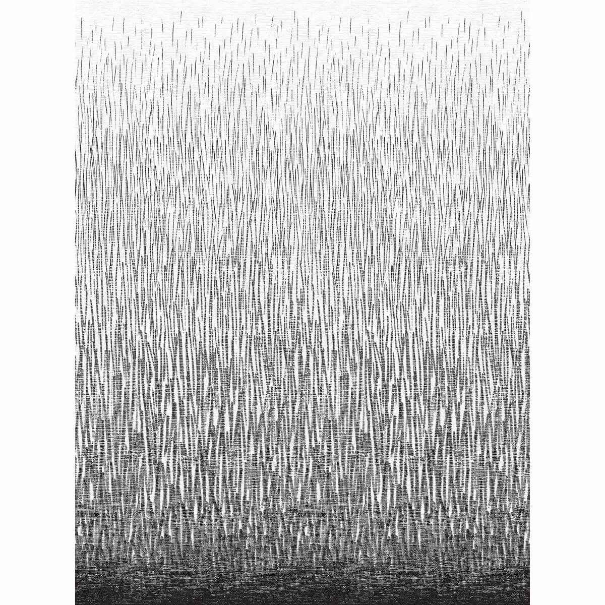 Amaya Black Wall Mural - York Wallcoverings - 2764-24363