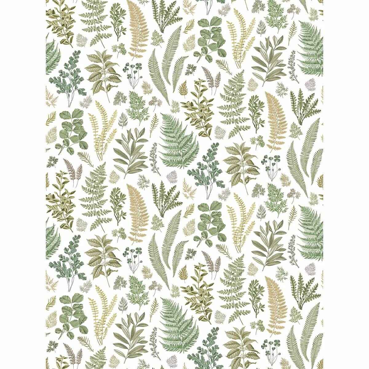 Britta Green Herbs Wall Mural - York Wallcoverings - 2821-SM25155 - York Wallcoverings Wallpaper