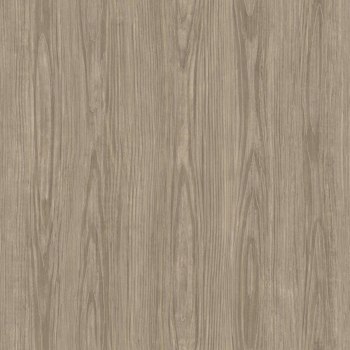 tanice-light-brown-faux-wood-texture-wallpaper-york-wallcoverings-2922-43056z - York Wallcoverings Wallpaper
