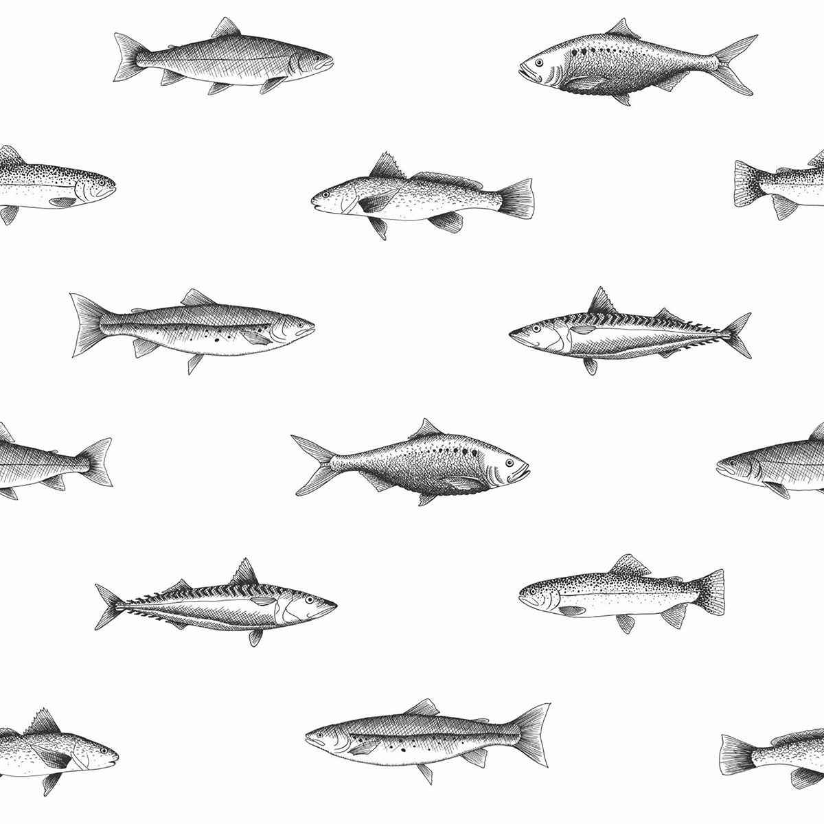 Fiyero Off White Fish Wallpaper - York Wallcoverings - DD138967 - York Wallcoverings Wallpaper