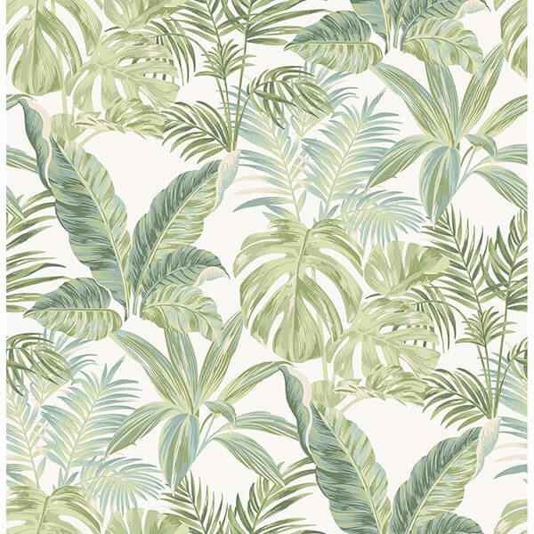 Madagascar Peel and Stick Wallpaper - York Wallcoverings - NU3382 - York Wallcoverings Wallpaper