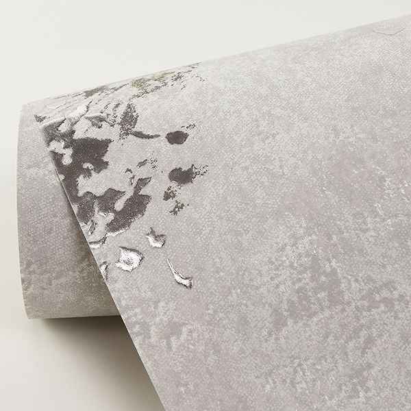 Misty Grey Distressed Dandelion Wallpaper - York Wallcoverings - 2904-00303 - York Wallcoverings Wallpaper