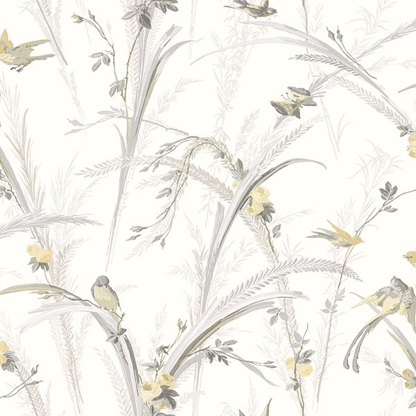 meadowlark-yellow-botanical-wallpaper-york-wallcoverings-3119-193210