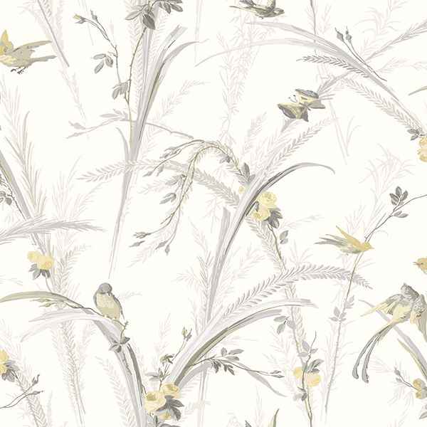 Meadowlark Yellow Botanical Wallpaper - York Wallcoverings - 3119-193210
