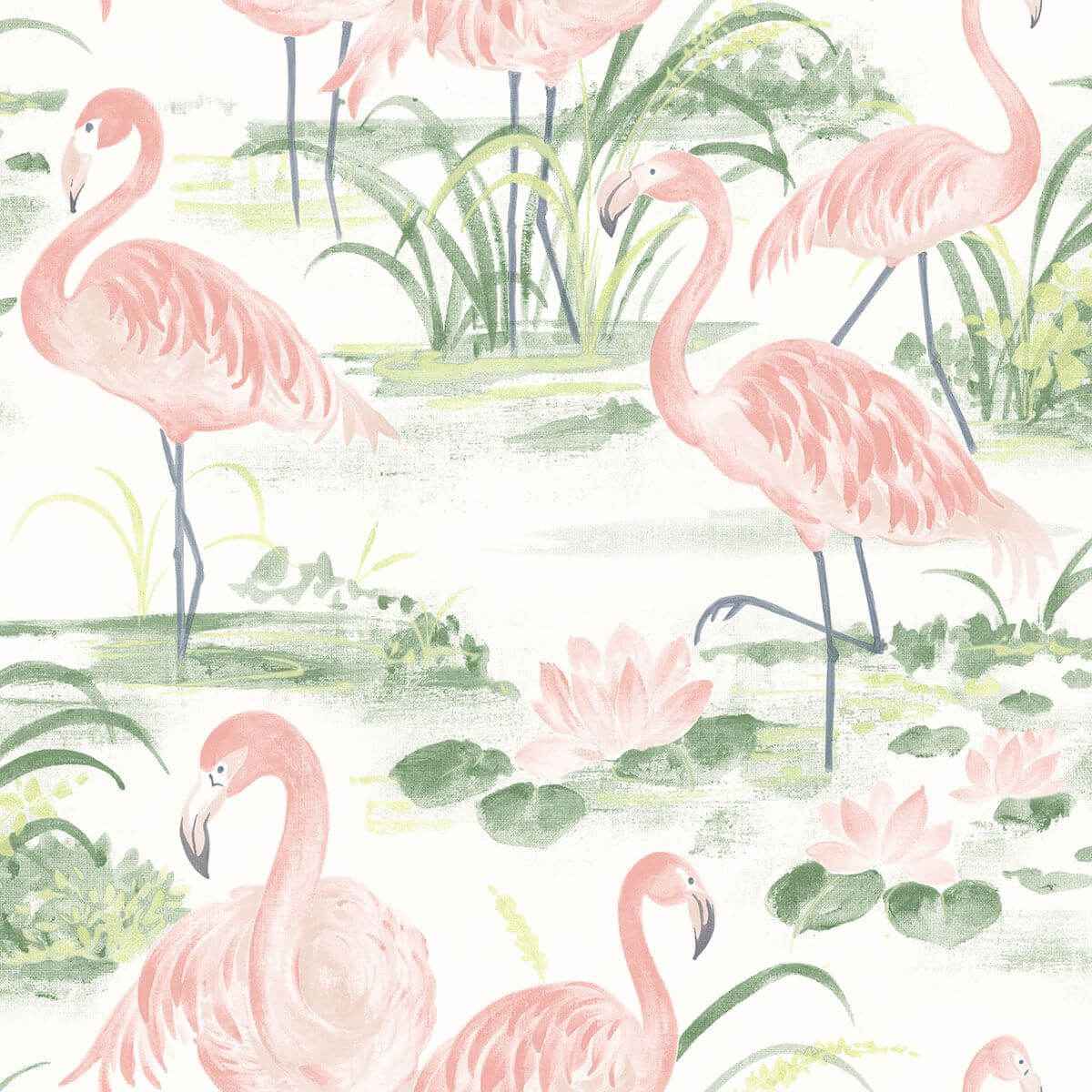 everglades-coral-flamingos-wallpaper-york-wallcoverings-3120-13601 - York Wallcoverings Wallpaper