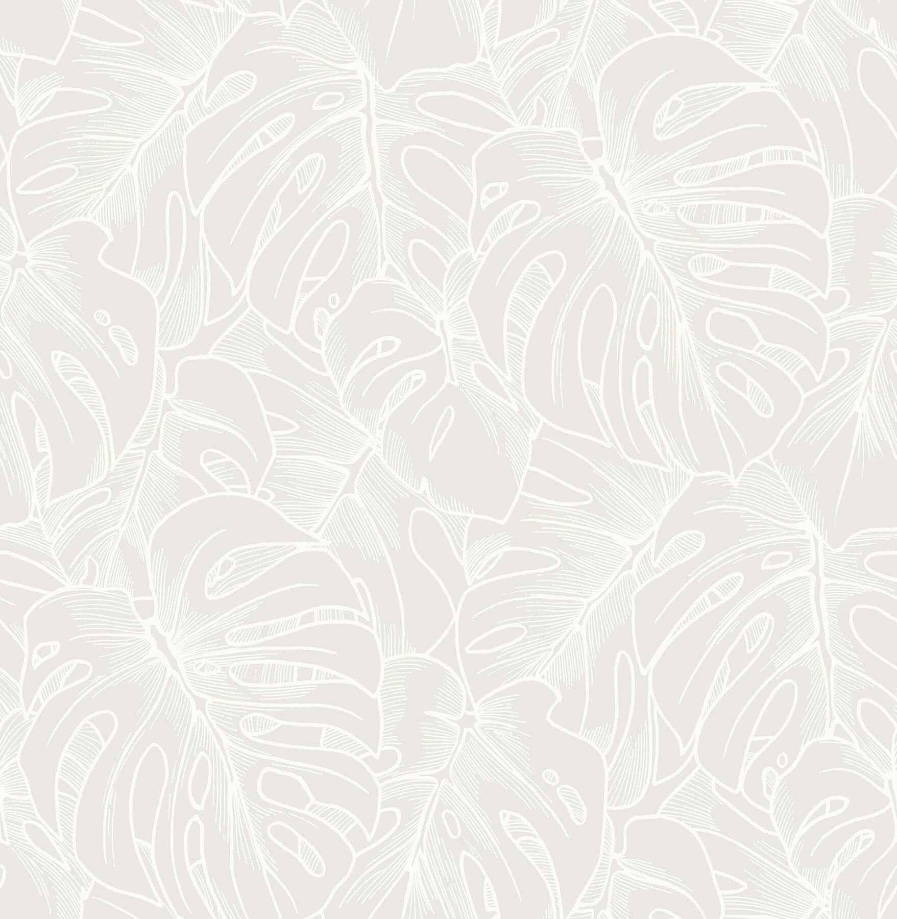 balboa-white-botanical-wallpaper-york-wallcoverings-2964-87340 - York Wallcoverings Wallpaper