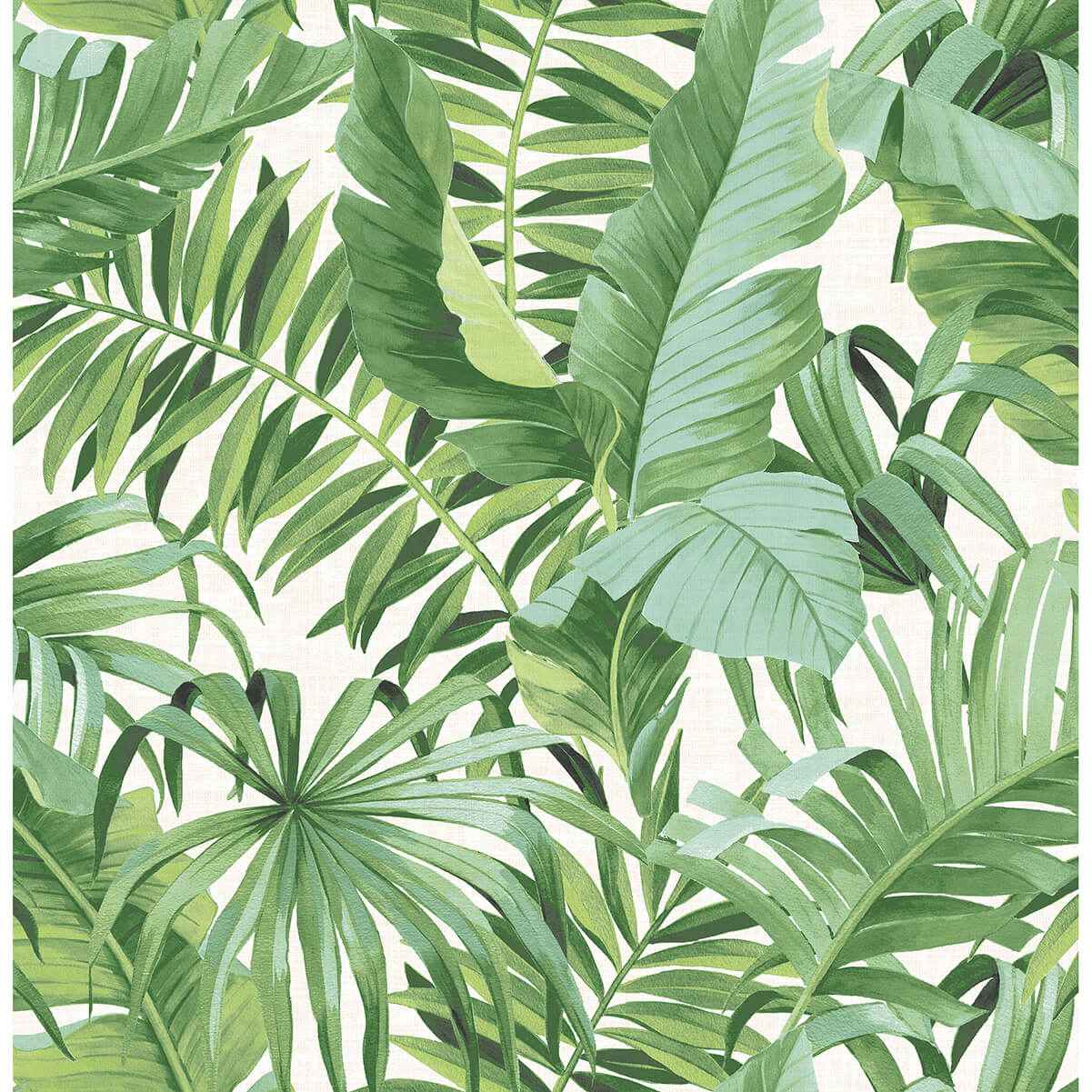 alfresco-green-tropical-palm-wallpaper-york-wallcoverings-2969-24136 - York Wallcoverings Wallpaper