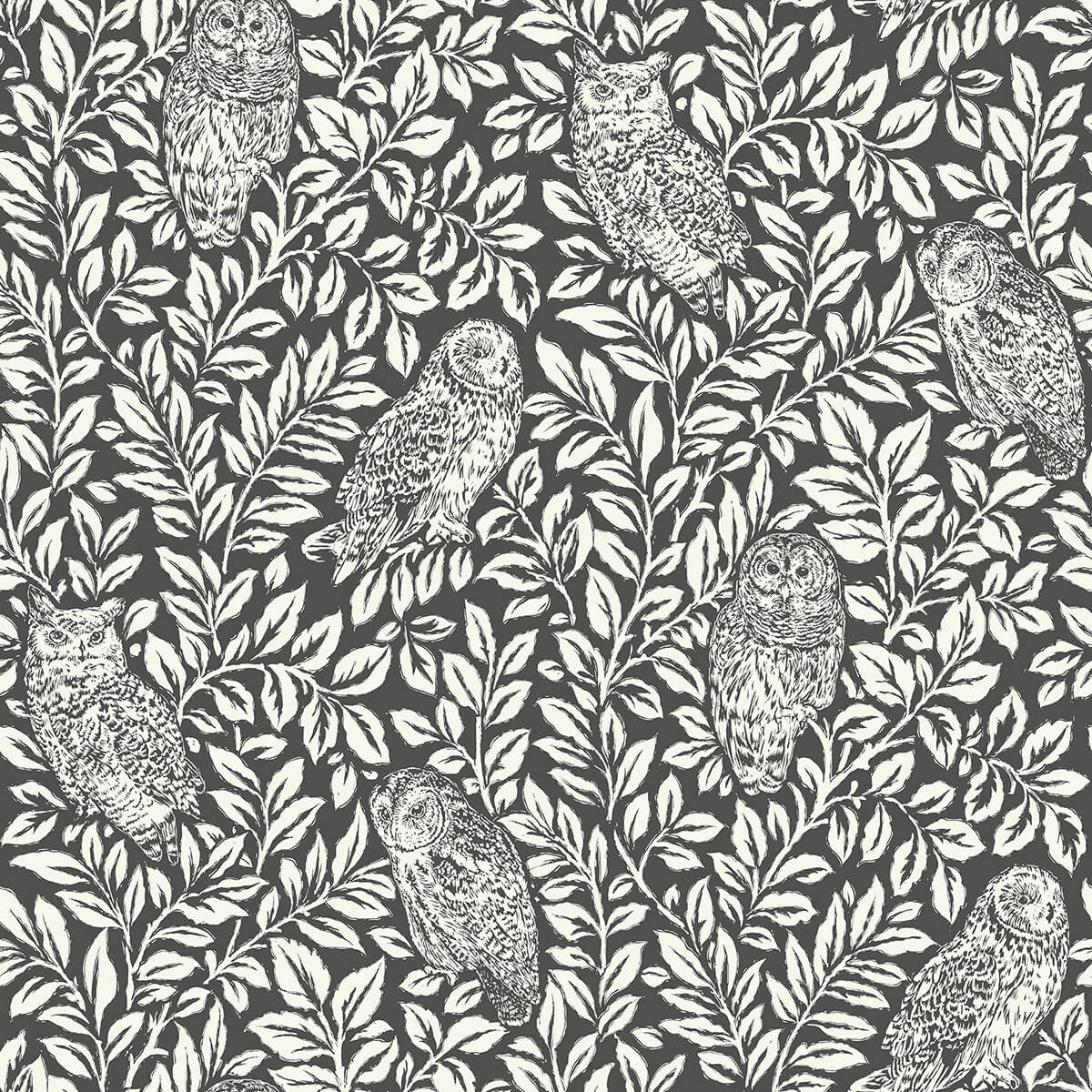 charcoal-sleepy-owls-peel-and-stick-wallpaper-york-wallcoverings-nus3625 - York Wallcoverings Wallpaper
