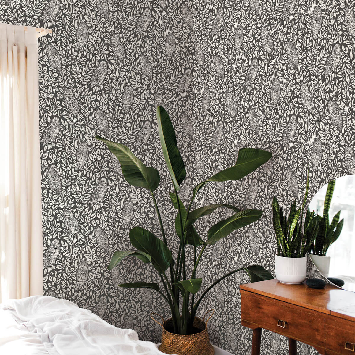 charcoal-sleepy-owls-peel-and-stick-wallpaper-york-wallcoverings-nus3625 - York Wallcoverings Wallpaper
