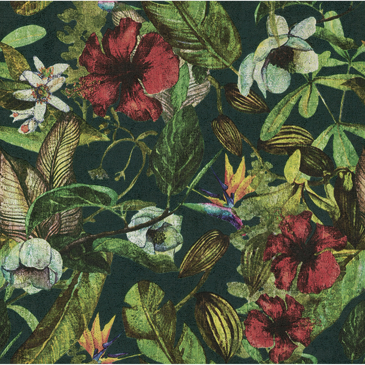 kailano-multicolor-botanical-wallpaper-york-wallcoverings-2979-37216-5 - York Wallcoverings Wallpaper
