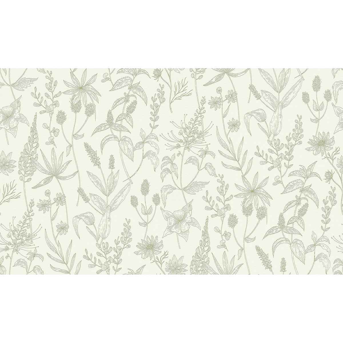 Nami Olive Floral Wallpaper - York Wallcoverings - 2979-37363-5