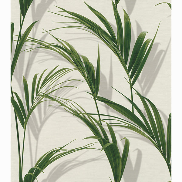 cyperus-grey-reed-wallpaper-york-wallcoverings-rh465112 - York Wallcoverings Wallpaper