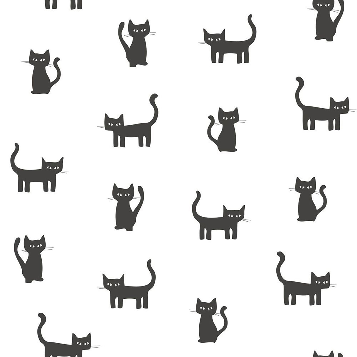 salem-black-kittens-wallpaper-york-wallcoverings-dd138928 - York Wallcoverings Wallpaper