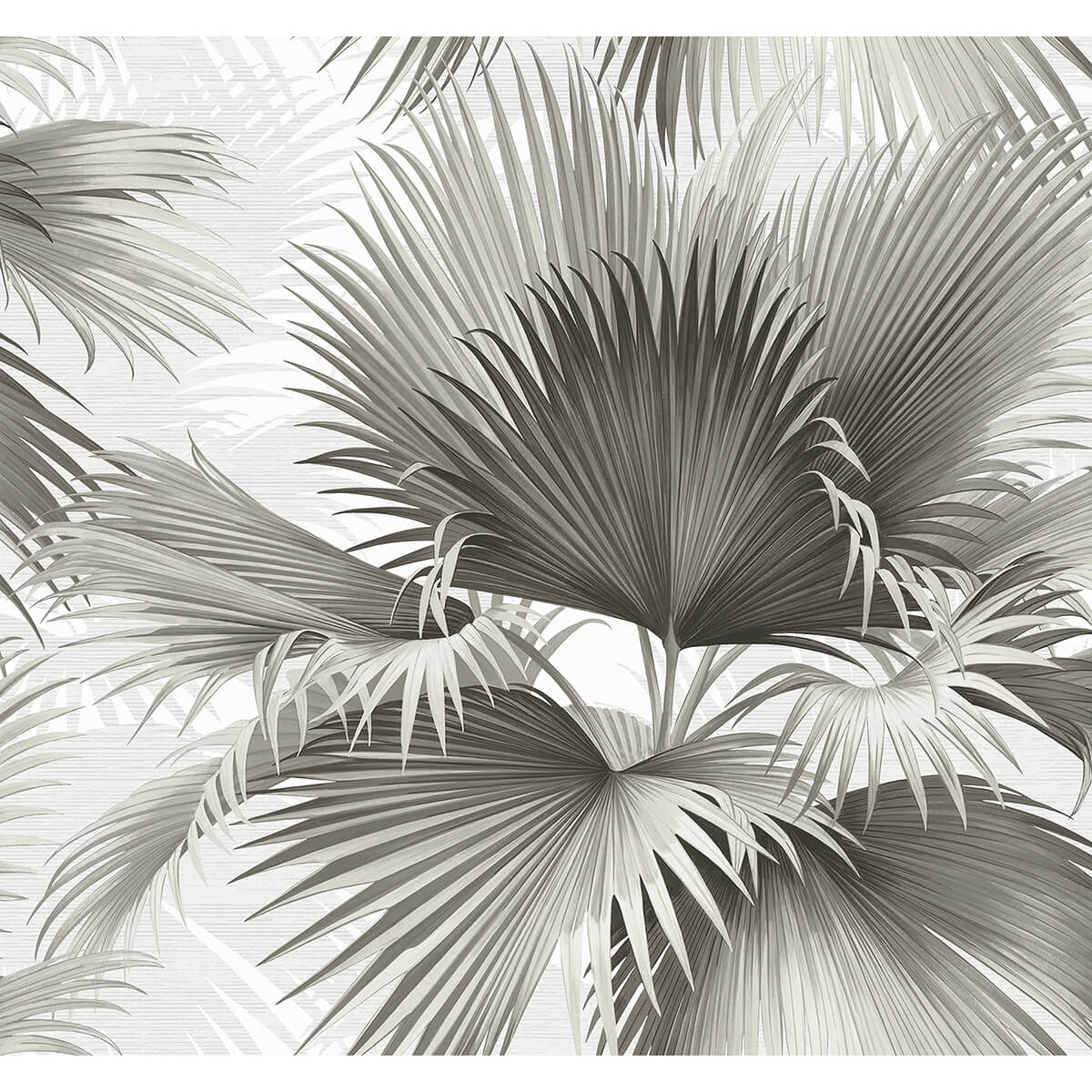 summer-palm-charcoal-tropical-wallpaper-york-wallcoverings-2927-40100 - York Wallcoverings Wallpaper