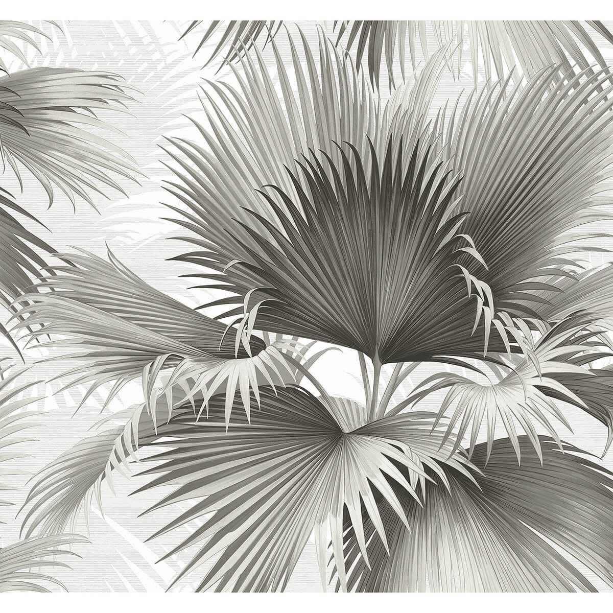 Summer Palm Charcoal Tropical Wallpaper - York Wallcoverings - 2927-40100 - York Wallcoverings Wallpaper