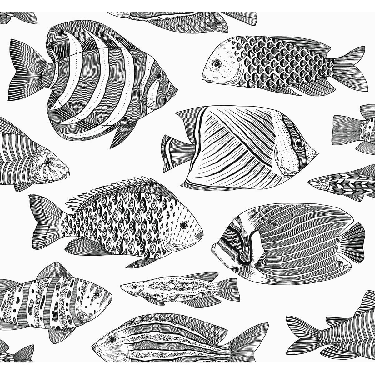 wailea-black-tropical-school-wallpaper-york-wallcoverings-2927-80200 - York Wallcoverings Wallpaper