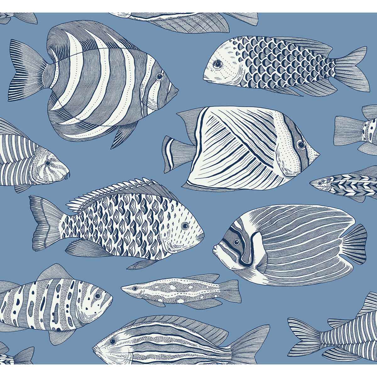Wailea Sky Blue Tropical School Wallpaper - York Wallcoverings - 2927-80212 - York Wallcoverings Wallpaper